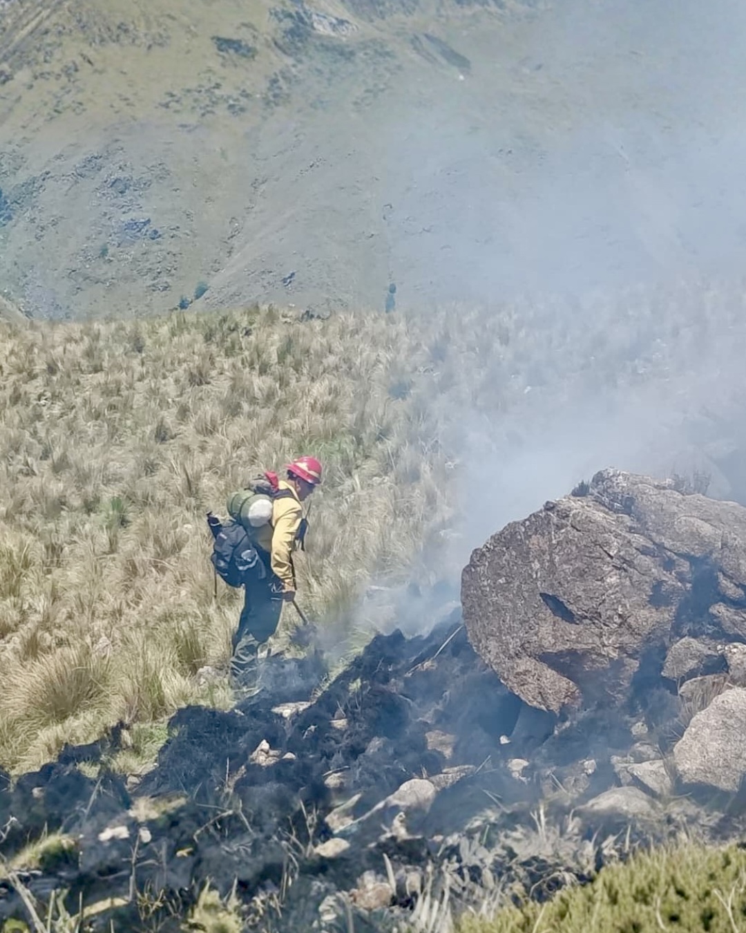 Incendio forestal en la zona del Cerro Mala Mala, Tafí del Valle