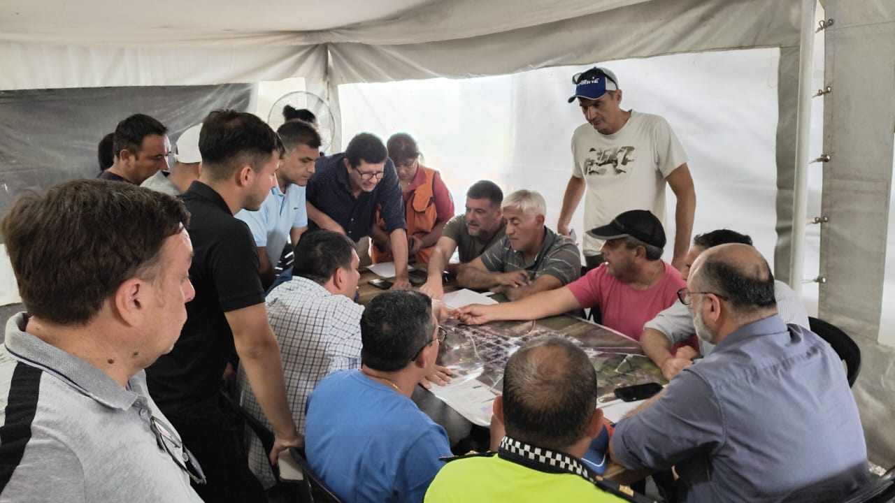 Definición de acciones en zonas afectadas