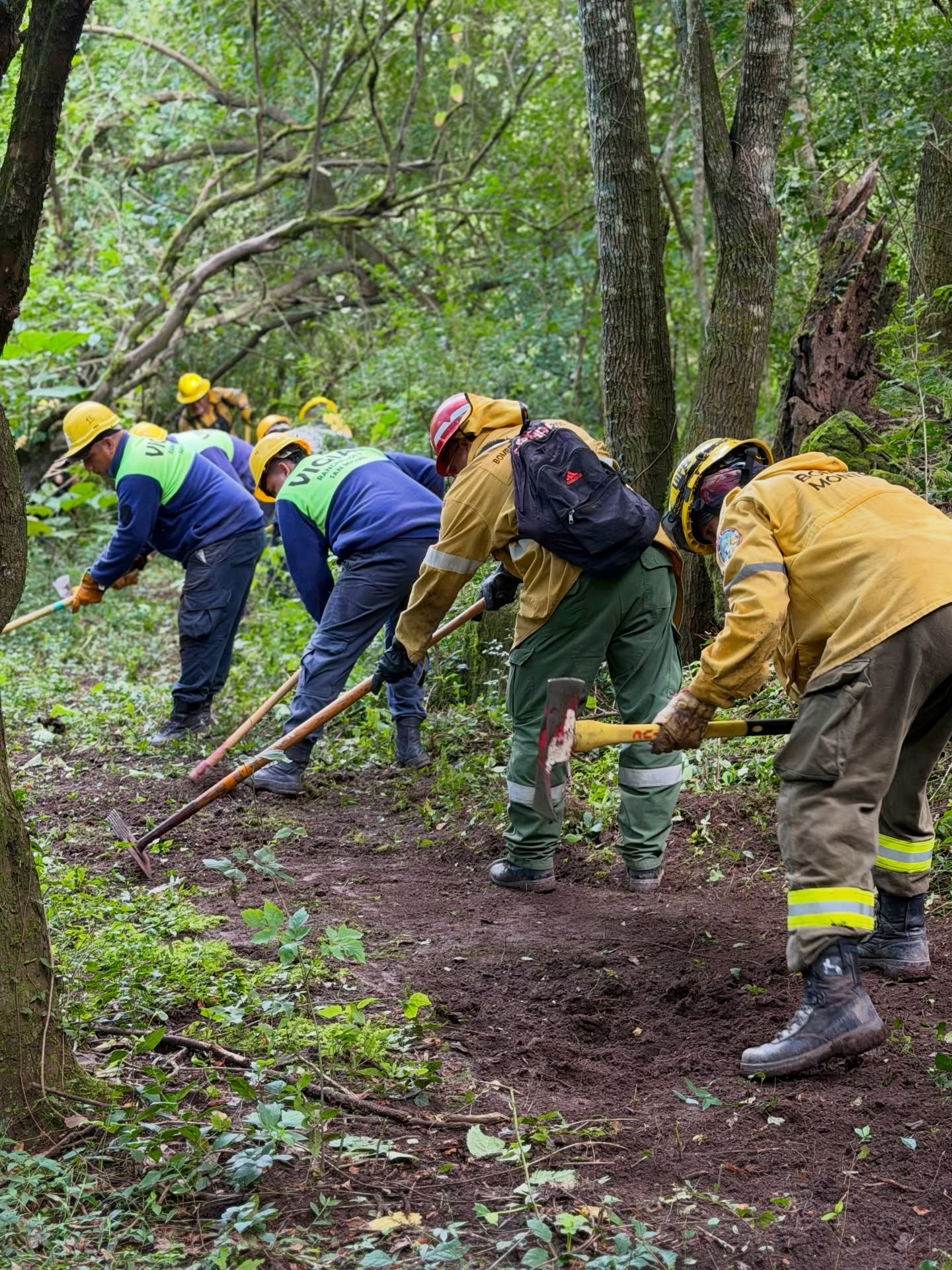 Instancia práctica del Curso Básico para Combatientes de Incendios Forestales